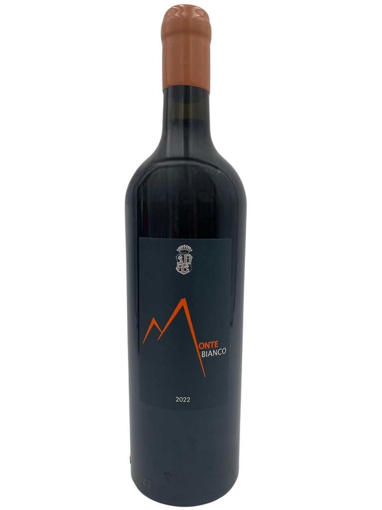 Monte Bianco 2023