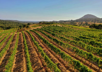 Domaine Andriella