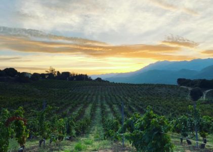 Domaine Vaccelli